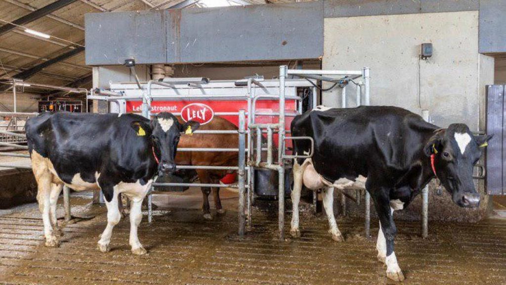  Otorgan pr&eacute;stamo agr&iacute;cola a empresa que se mueve al orde&ntilde;o &ldquo;stress free&rdquo; 