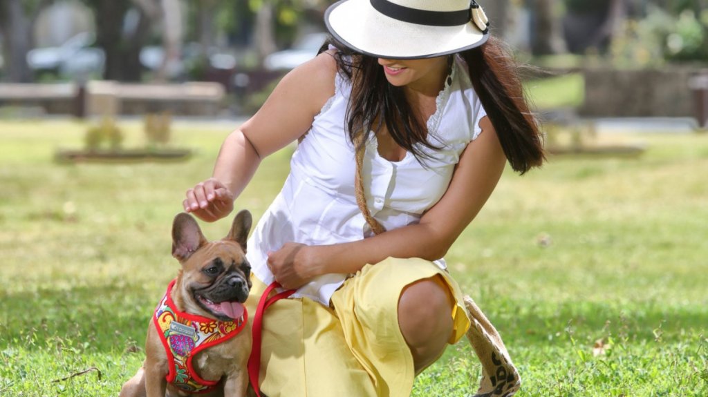  Aprobada en la C&aacute;mara medida que incluye la amenaza de maltrato a mascotas dentro de las conductas de intimidaci&oacute;n y violencia psicol&oacute;gica contra la mujer 