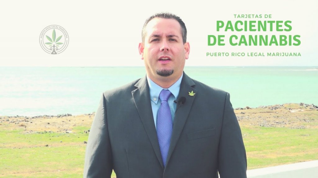  Preocupa la falta de un plan estrat&eacute;gico para propulsar la industria del cannabis en las plataformas de los candidatos a la gobernaci&oacute;n 