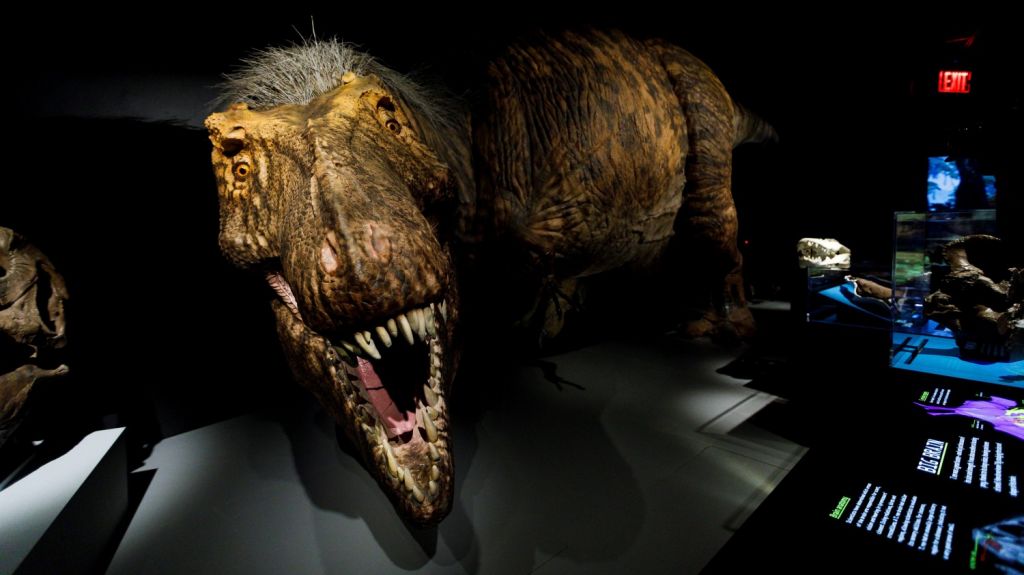  Video:El popular T Rex resucita en el Museo de Historia Natural de Nueva York 