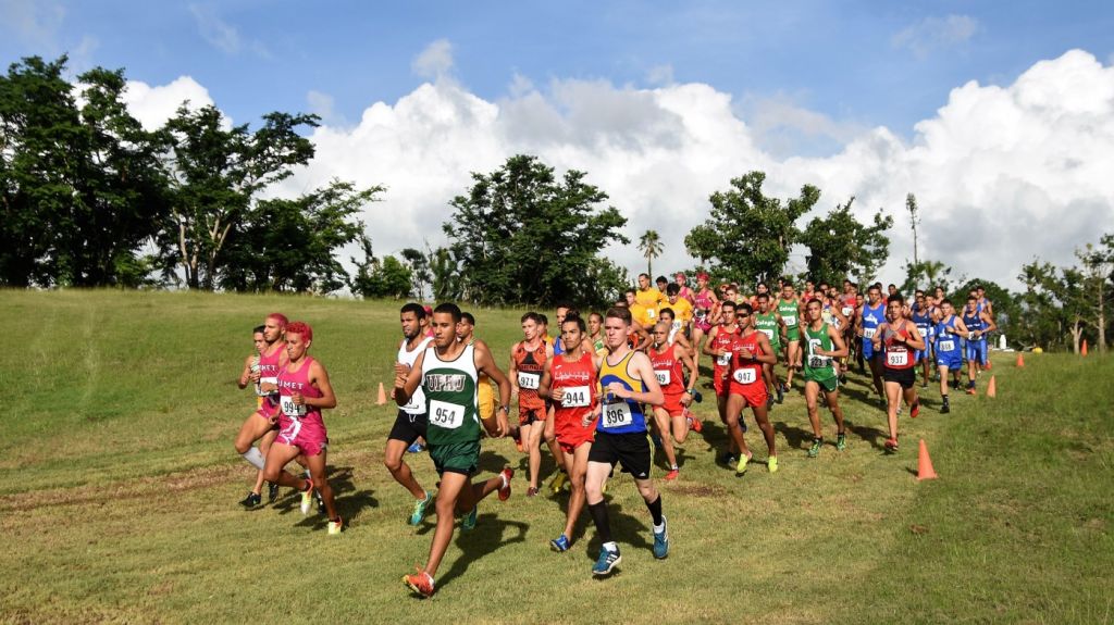  Tigres y Tigresas rescatan el trono del campo traviesa 
