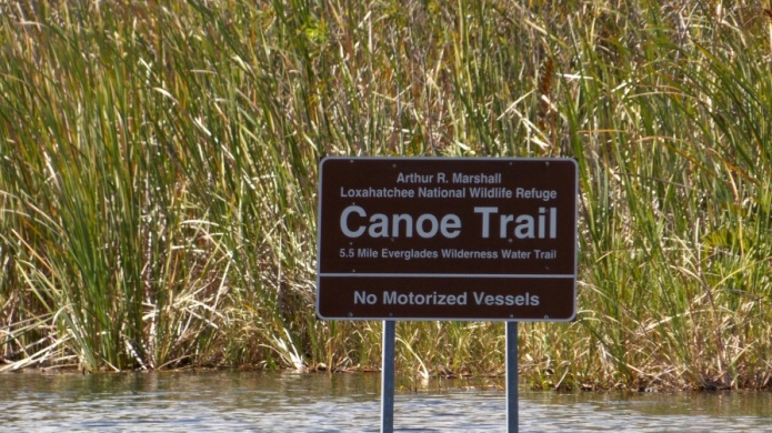 Una turista herida al colisionar dos hidrodeslizadores en los Everglades