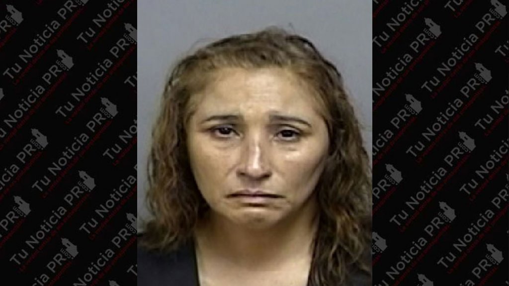  Fichada mujer que provoco la muerte de otra mientras conducía “Borracha” y en contra del transito de Salinas a Ponce 