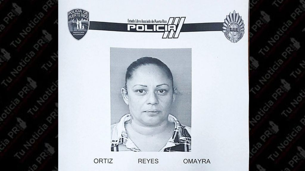  Imputan a mujer cargos por ley de armas, maltrato de menores y agresi&oacute;n 