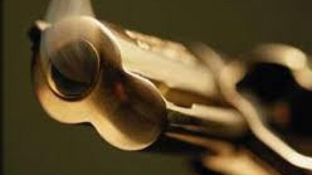  Le ense&ntilde;aba una pistola a un joven y termino asesin&aacute;ndolo por acidente en Toa Alta 