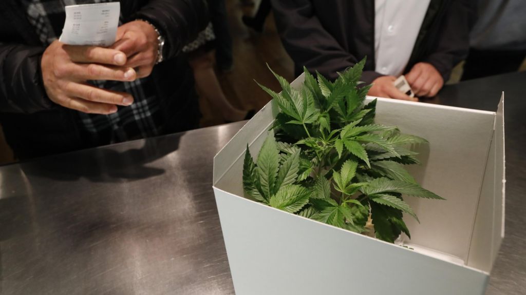  Aprueban el uso de marihuana en lugar de analg&eacute;sicos recetados en Illinois 