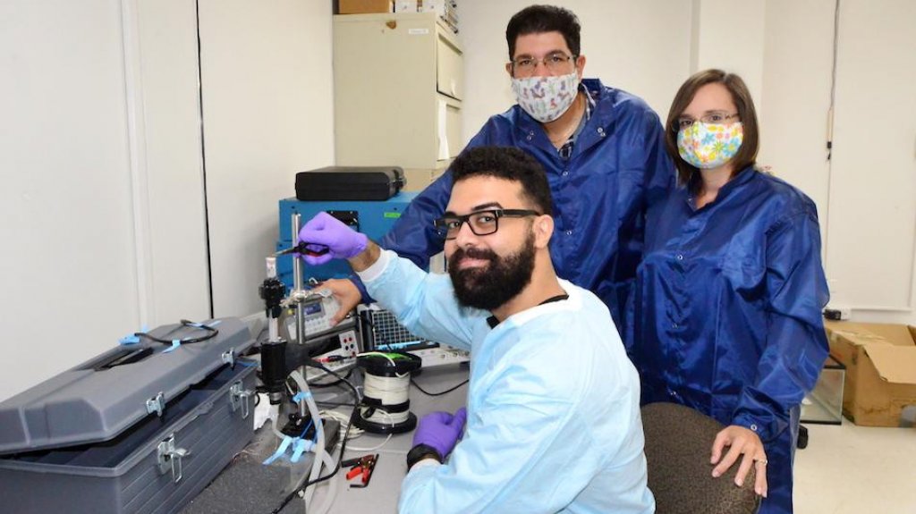  Otorgan subvenci&oacute;n de 250 mil d&oacute;lares a catedr&aacute;ticos del RUM para proyecto de tratamiento contra el c&aacute;ncer de pr&oacute;stata 